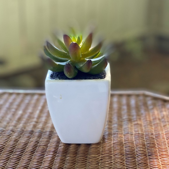 Artificial plant 🪴 - Picture 4 of 4